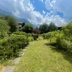 Alpine Escape Mont Blanc At Your Window شامونكس